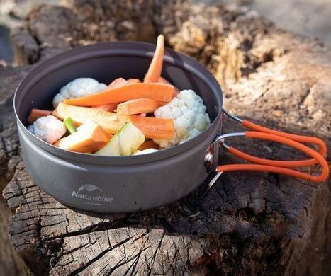Пательня Naturehike Camping Pan 1.6 л with silicone lid NH19CJ006 orange 6927595738337 фото