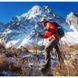 Трекинговые палки Naturehike ST11 Carbon Aluminum 120 см 4-сек. NH19DS001 black 6927595746349 &ndash; фото 3