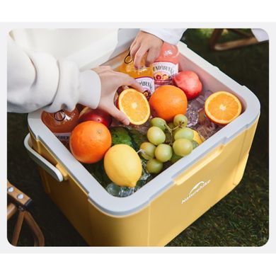 Термобокс туристичний Naturehike CNK2450CF012 5л green 6975641884477 фото