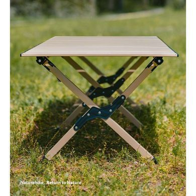 Складной стол Naturehike Star Jane T01 CNK2550JJ018, 119х60 см, углеродистая сталь, черный 6977465865120 фото