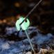 Кілки туристичні світловідбивні Naturehike CNK2550PJ012, 20 см, 4 шт, білий 6977465862112 &ndash; фото 5