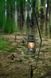 Лампа гасова Naturehike Outdoor Lamp NH22ZM003 beige