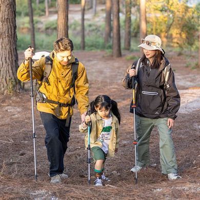 Трекинговые палки Naturehike ST 01 6061 3-с. UPD (пара) NH17D001-Z золотой 6975641885658 фото